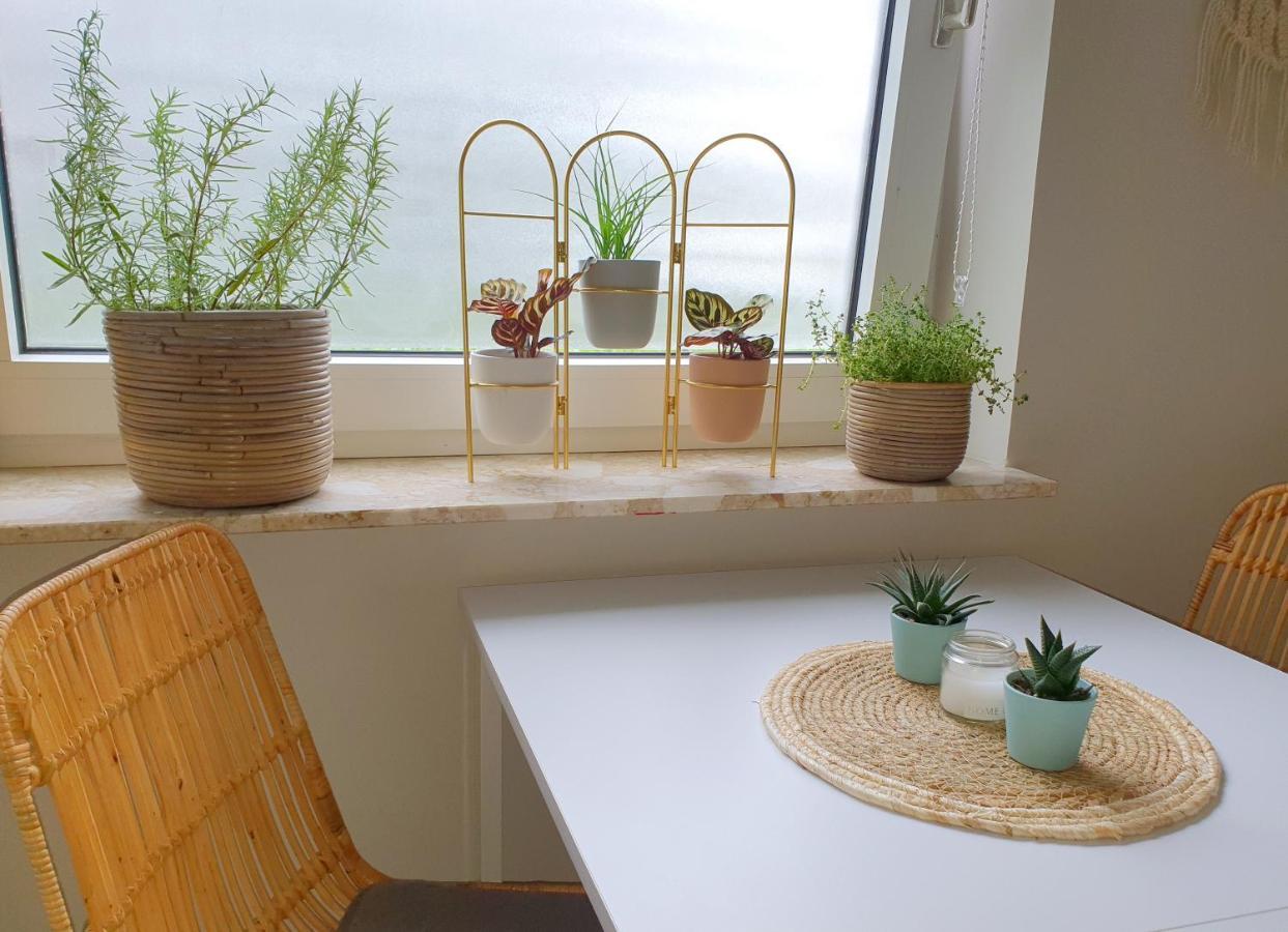 Boho Apartment Oldemburgo Exterior foto